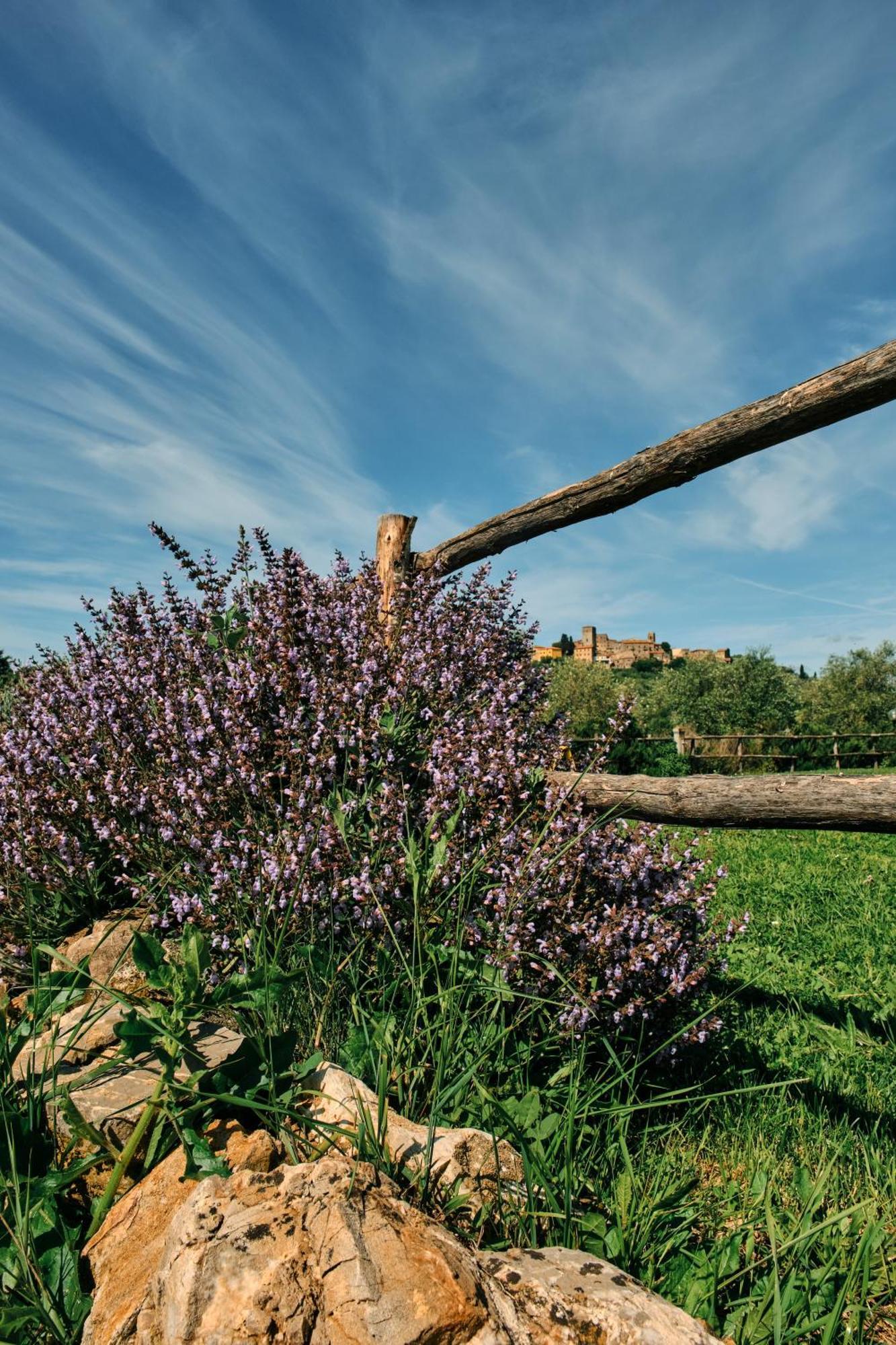 8380 Agriturismo Il Saragiolo Manciano Exterior foto